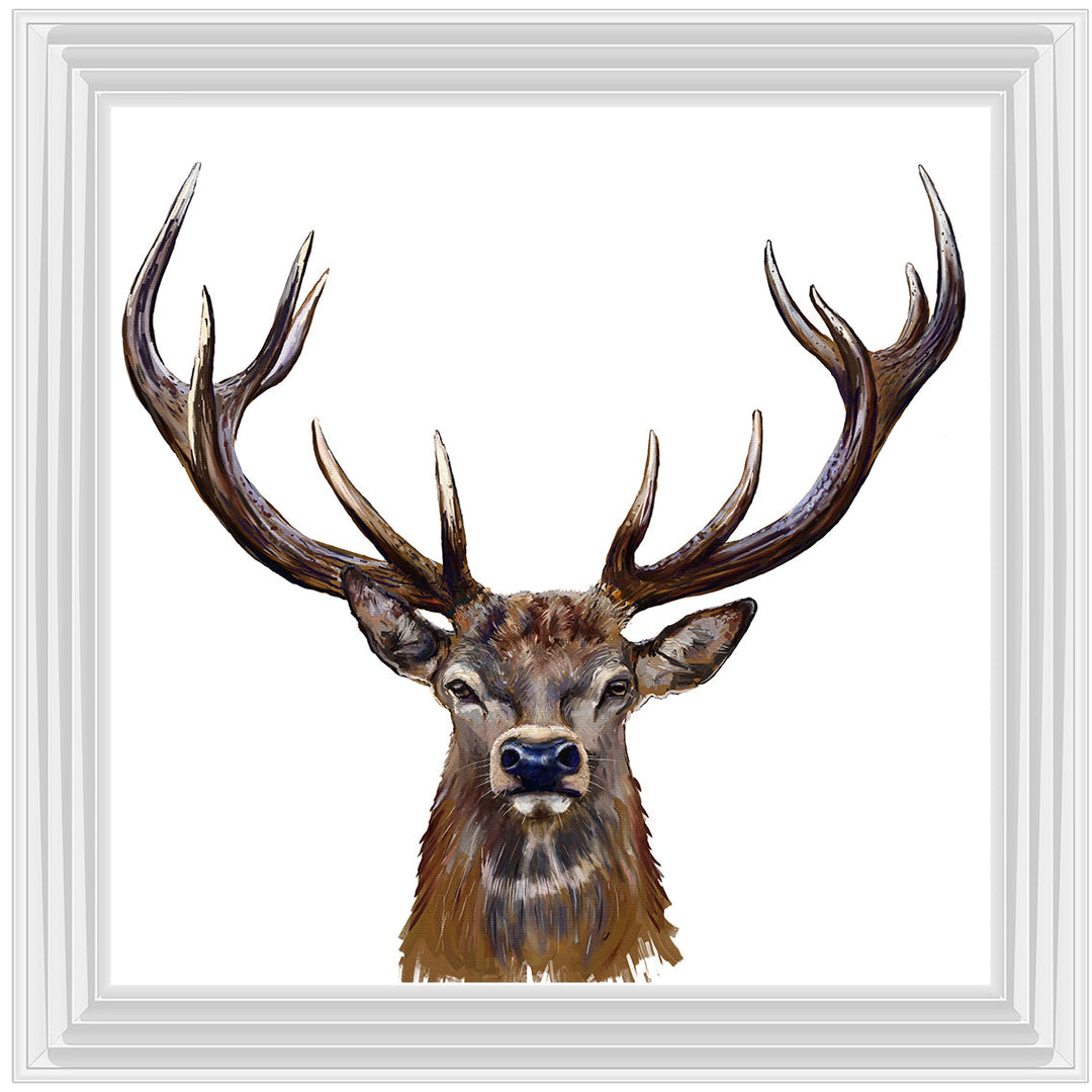 AN1529 STAG III