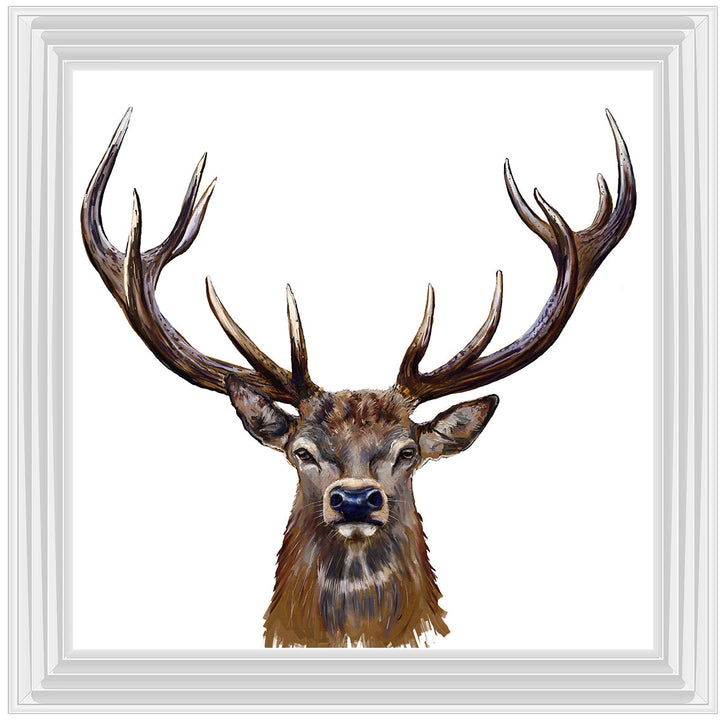 AN1529 STAG III