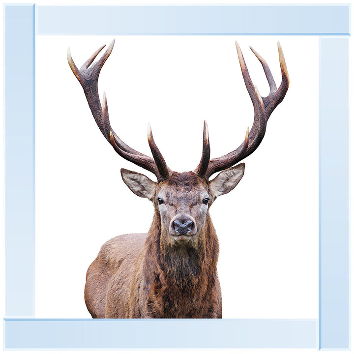 AN1530 STAG III
