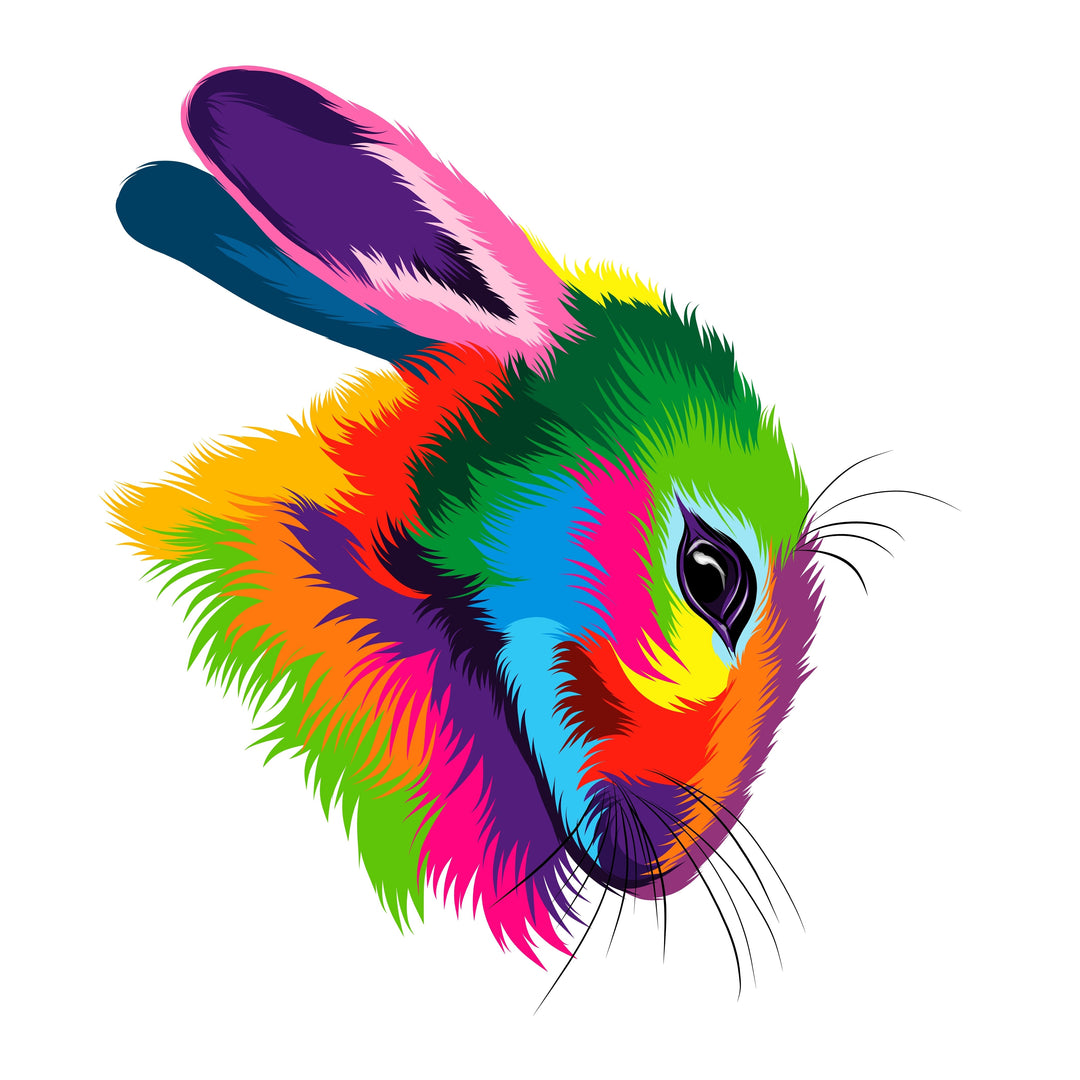AN1534 COLOURFUL BUNNY