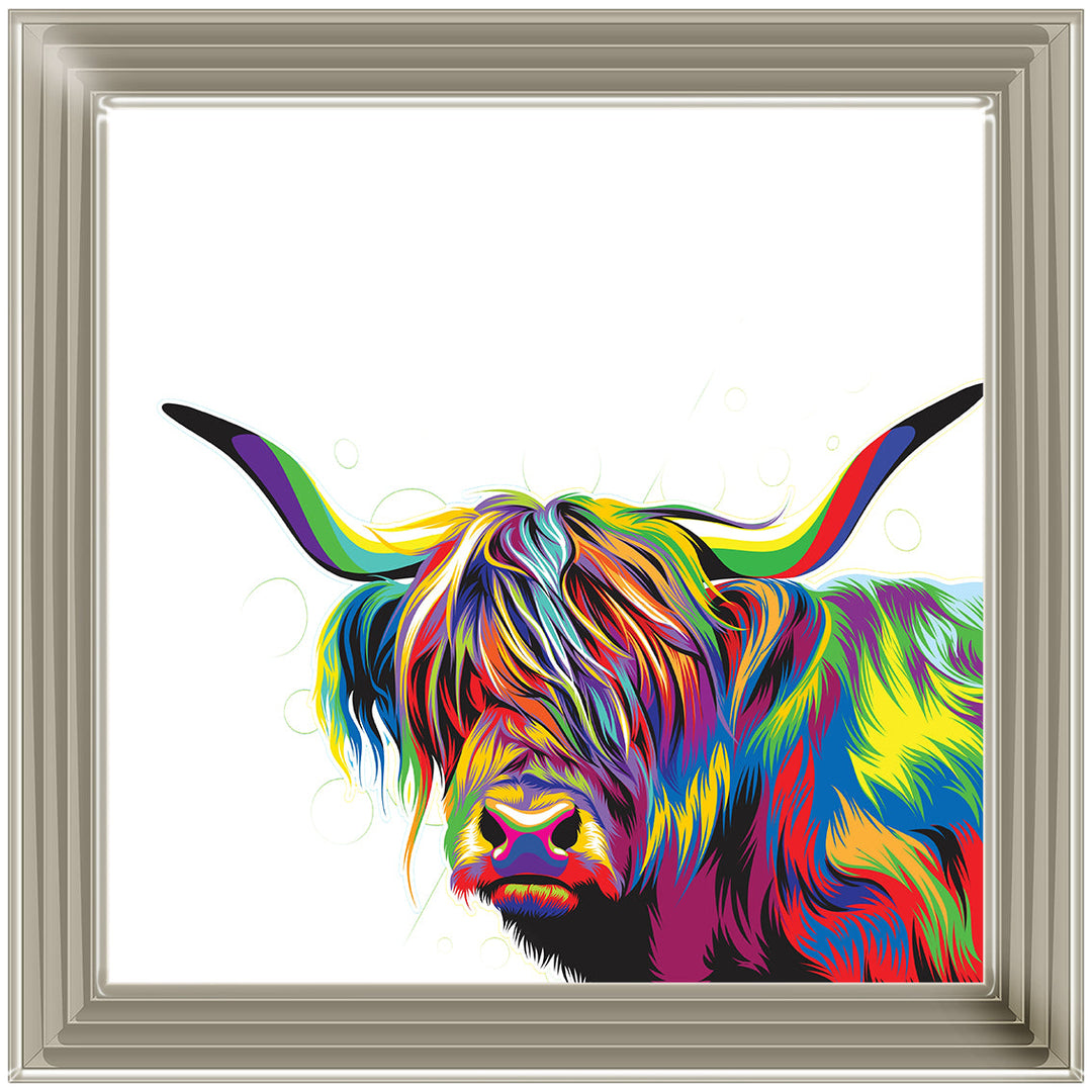 AN1539 COLOURFUL HIGHLAND COW