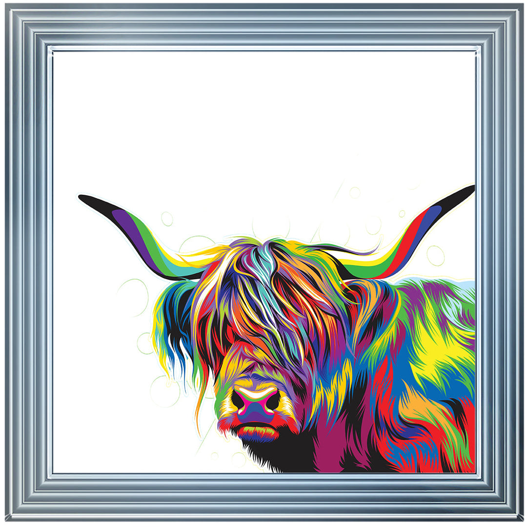 AN1539 COLOURFUL HIGHLAND COW