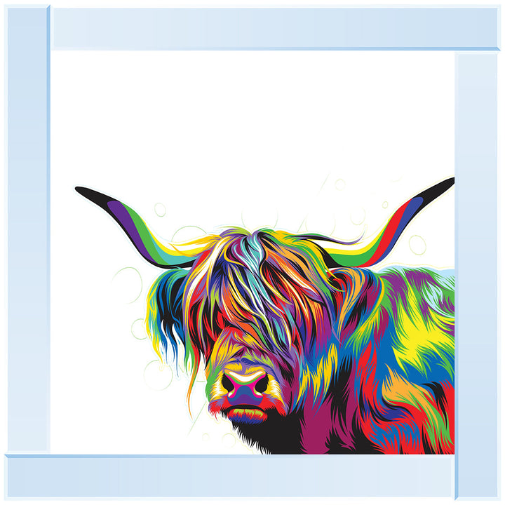 AN1539 COLOURFUL HIGHLAND COW