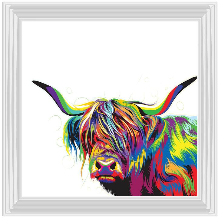 AN1539 COLOURFUL HIGHLAND COW