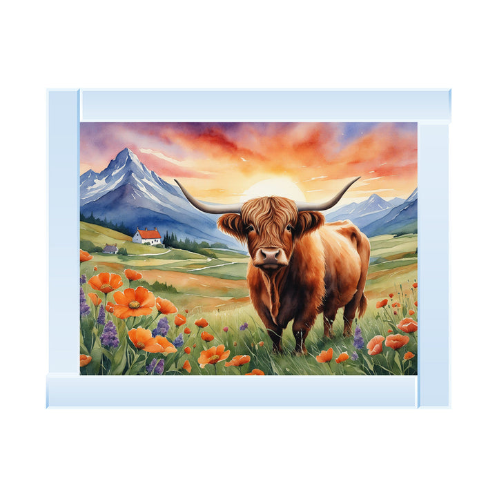 AN1578 SPRING COW