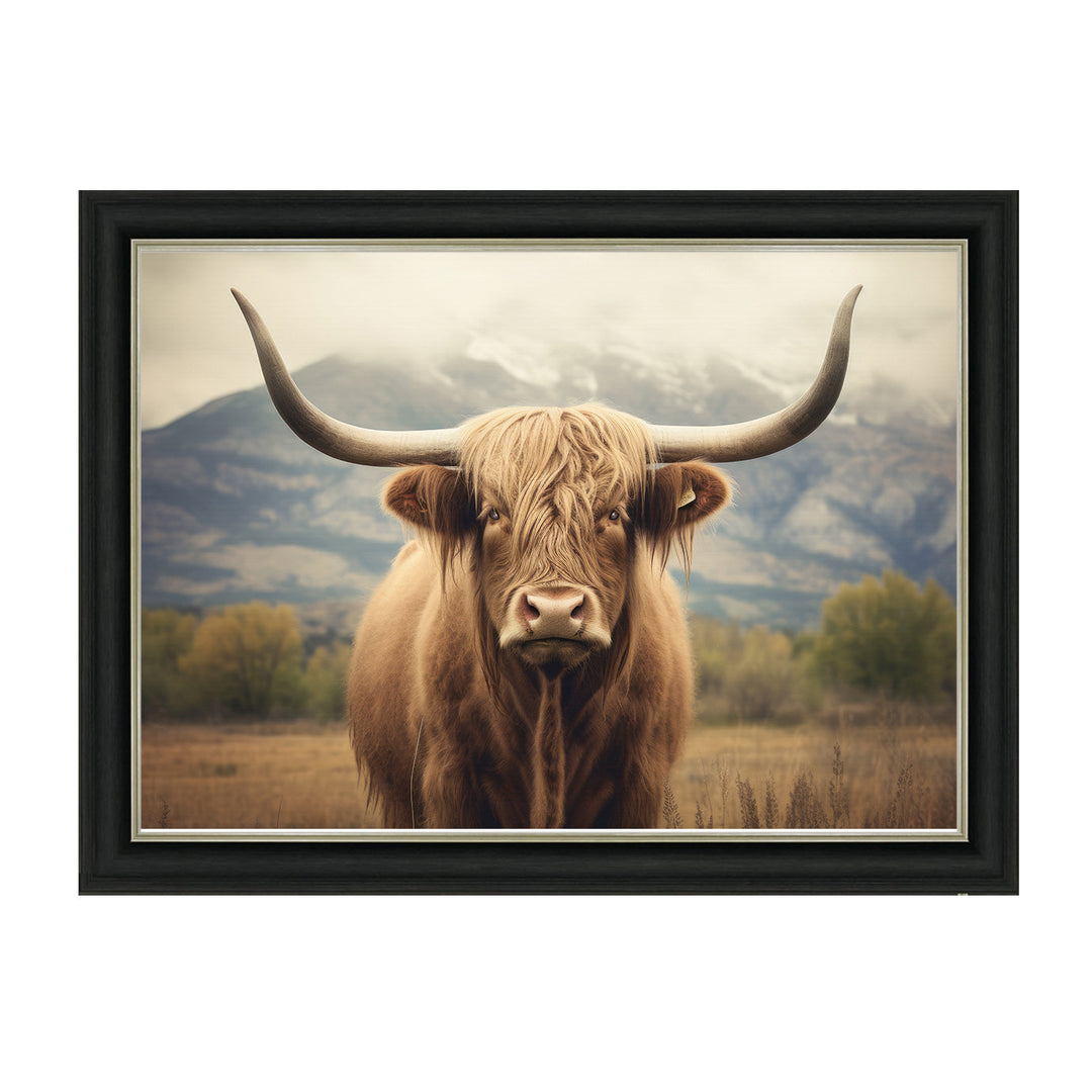 AN1580 HIGLAND CATTLE