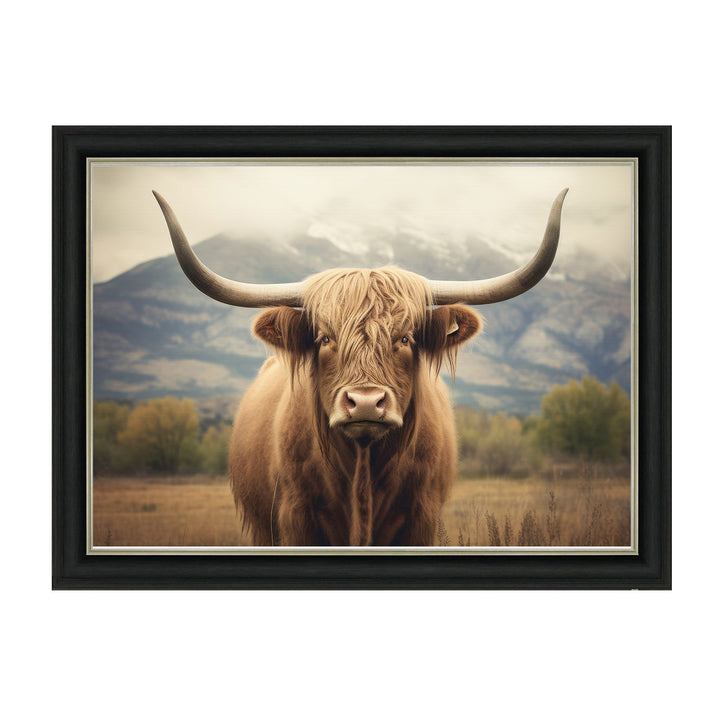 AN1580 HIGLAND CATTLE