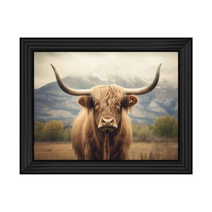AN1580 HIGLAND CATTLE