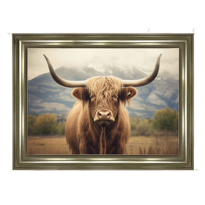 AN1580 HIGLAND CATTLE