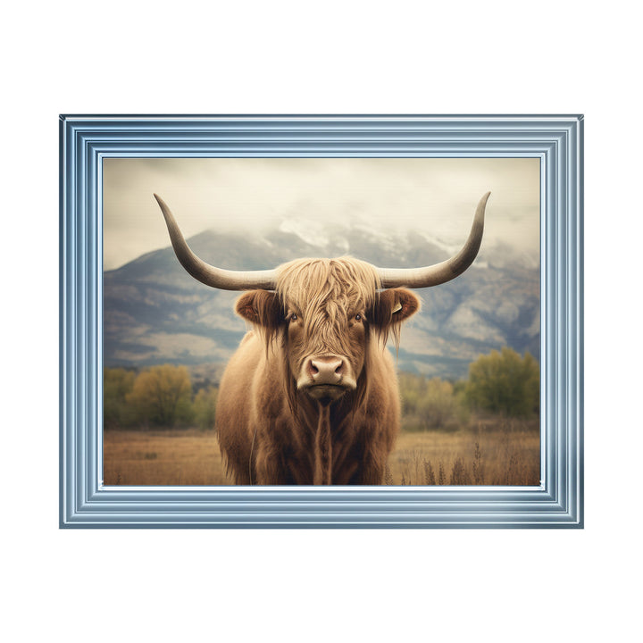 AN1580 HIGLAND CATTLE