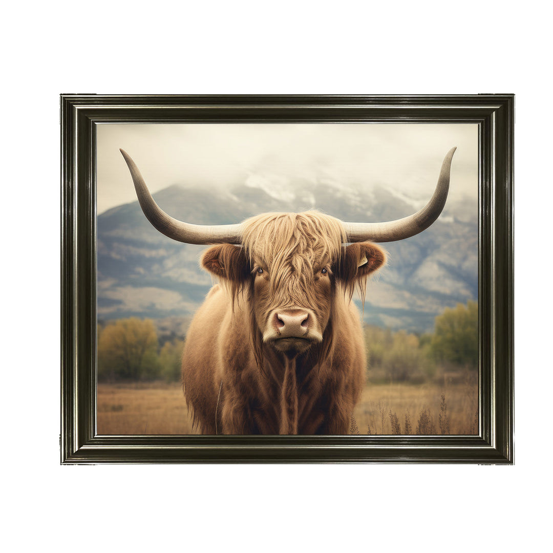 AN1580 HIGLAND CATTLE