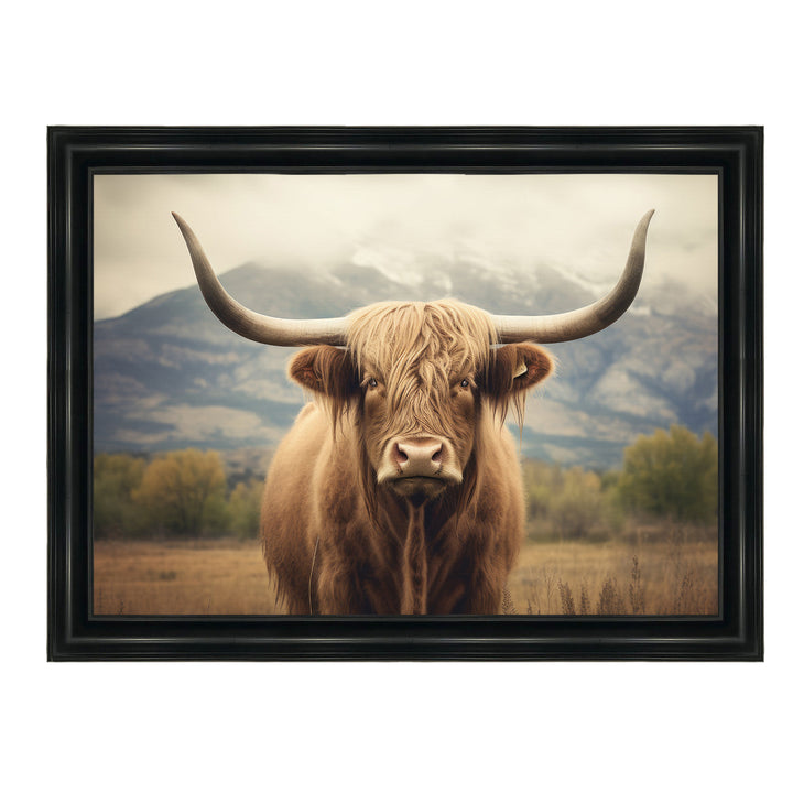 AN1580 HIGLAND CATTLE