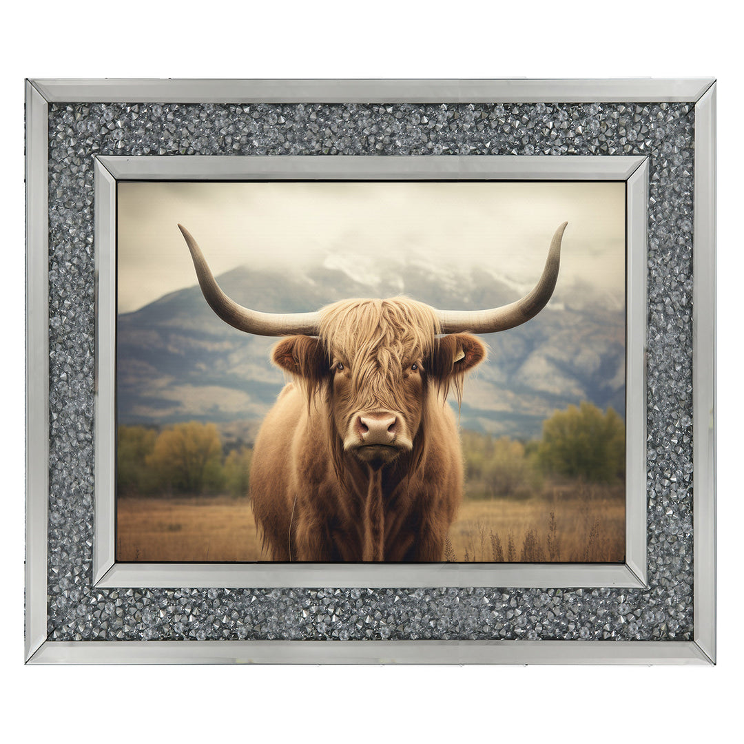 AN1580 HIGLAND CATTLE
