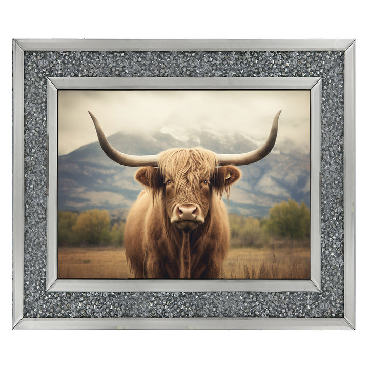 AN1580 HIGLAND CATTLE
