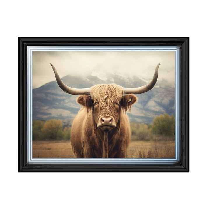 AN1580 HIGLAND CATTLE