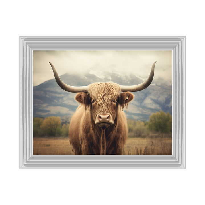 AN1580 HIGLAND CATTLE