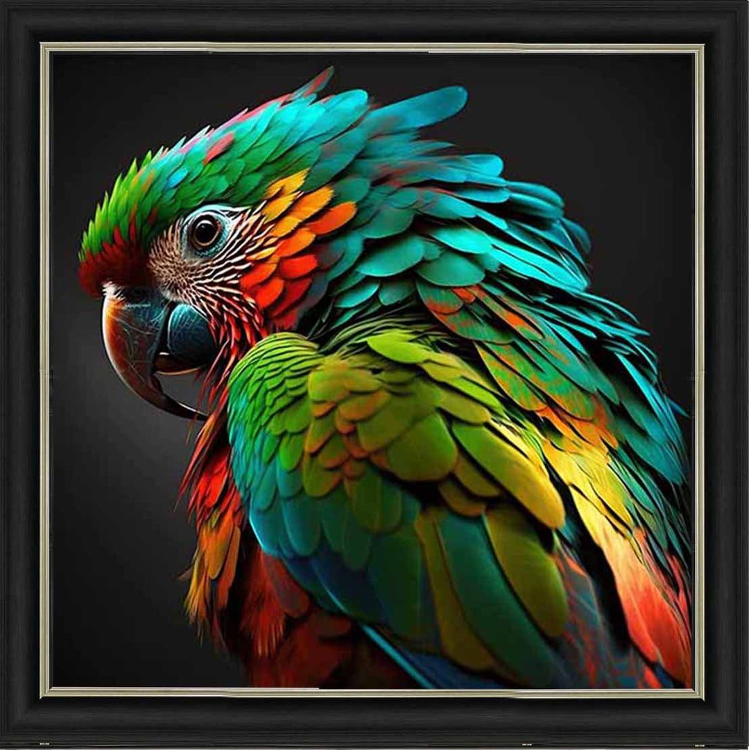 AN1702 SINGLE PARROT