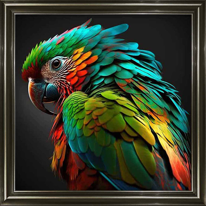 AN1702 SINGLE PARROT