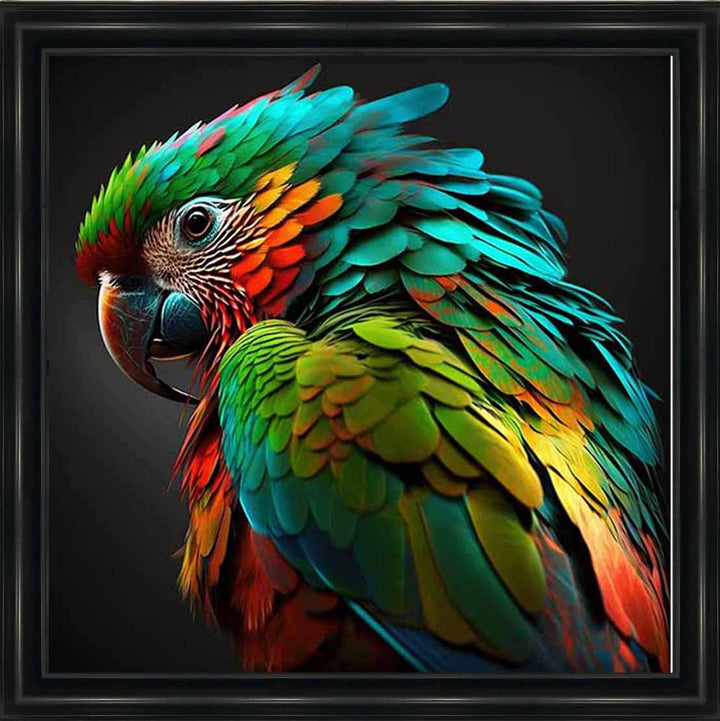AN1702 SINGLE PARROT