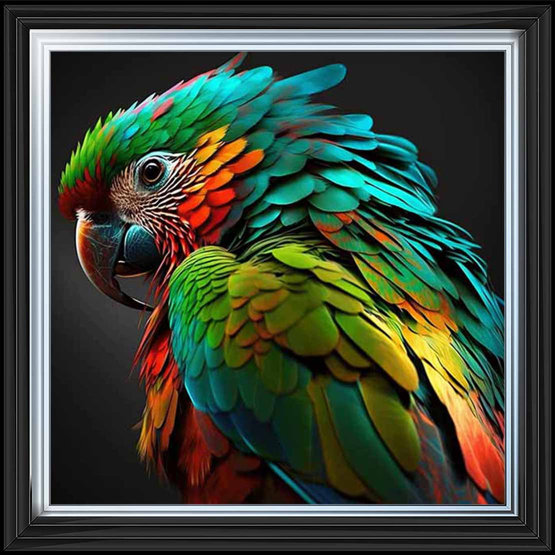 AN1702 SINGLE PARROT