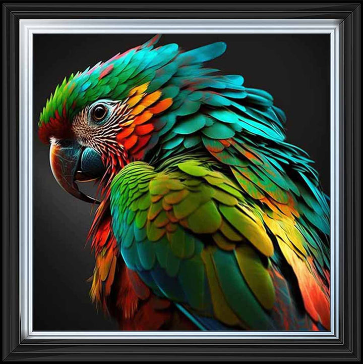 AN1702 SINGLE PARROT