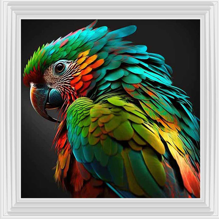 AN1702 SINGLE PARROT