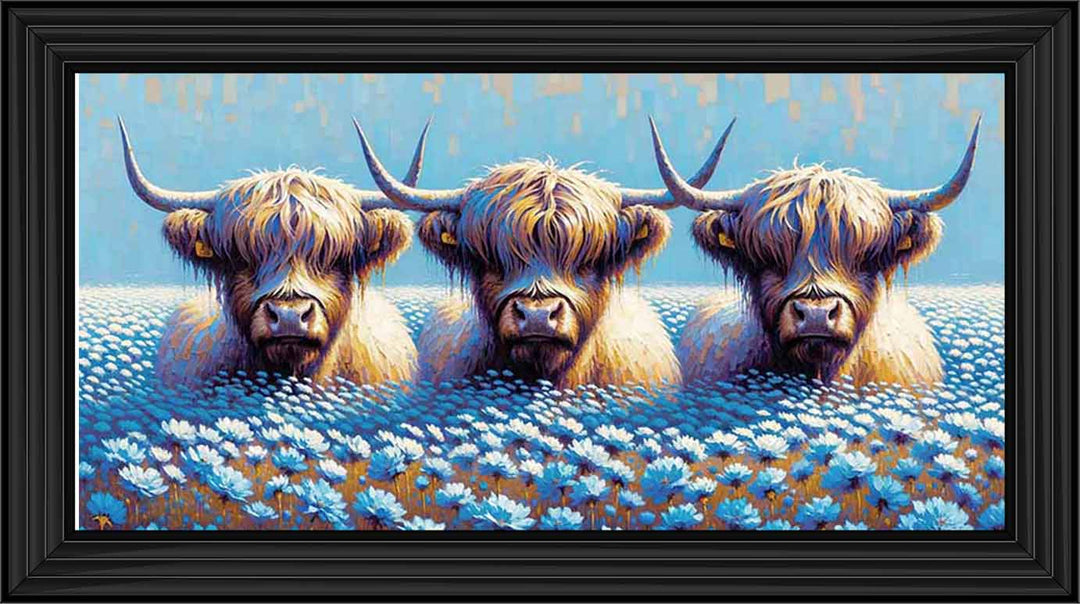 AN1711 COWS IN THE FIELD