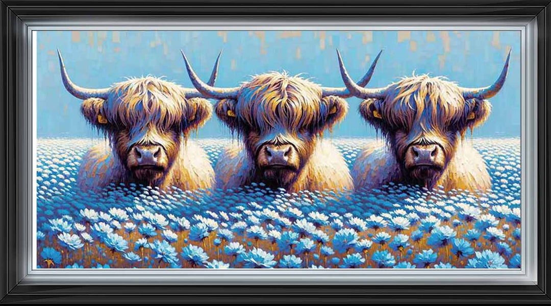 AN1711 COWS IN THE FIELD