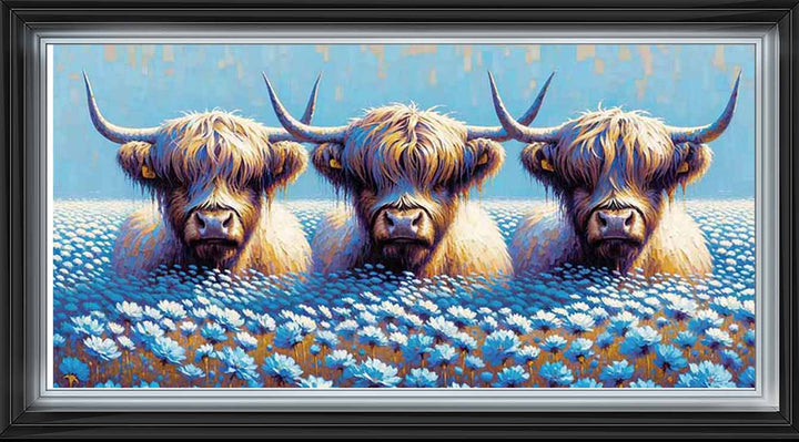 AN1711 COWS IN THE FIELD