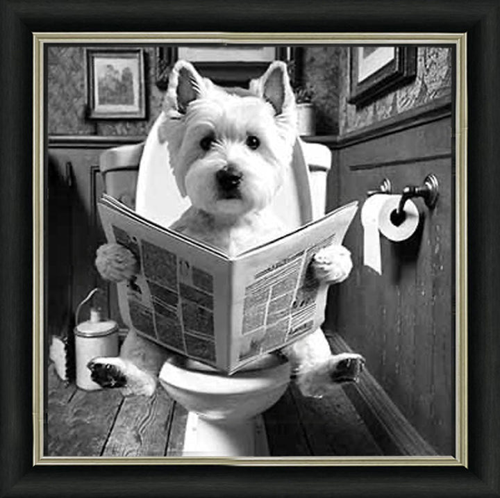 AN2122-B&W WESTIES ON THE TOILET