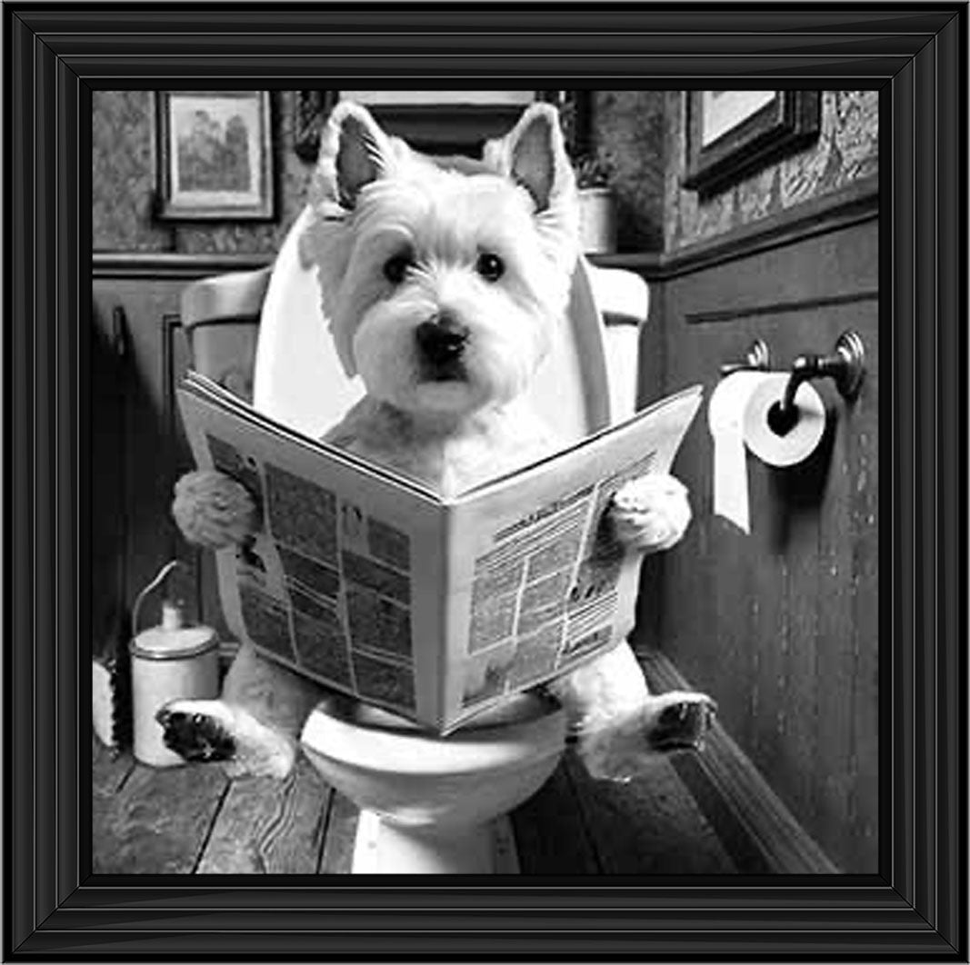 AN2122-B&W WESTIES ON THE TOILET