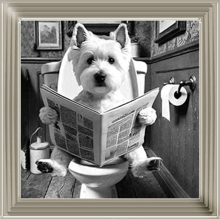 AN2122-B&W WESTIES ON THE TOILET