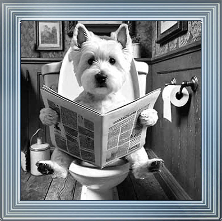 AN2122-B&W WESTIES ON THE TOILET