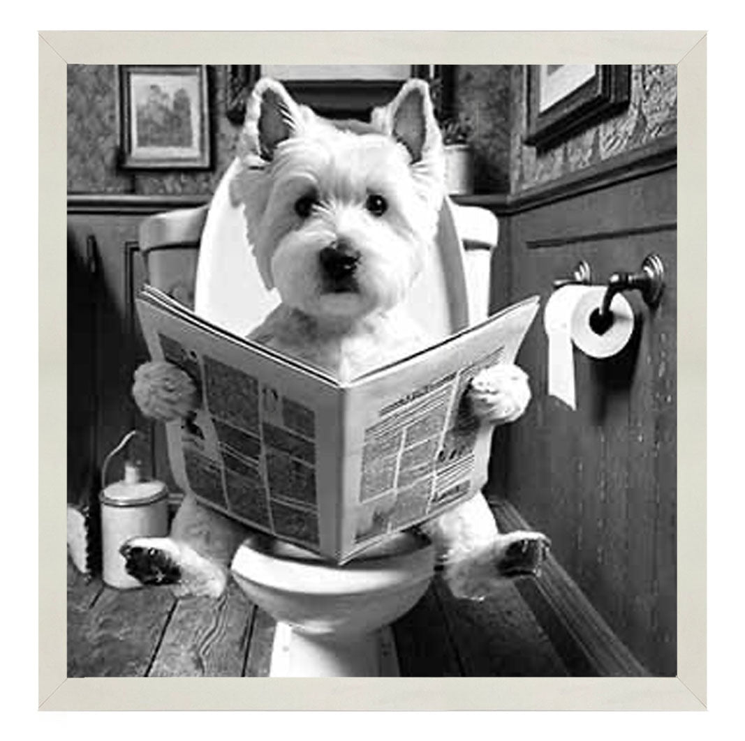 AN2122-B&W WESTIES ON THE TOILET