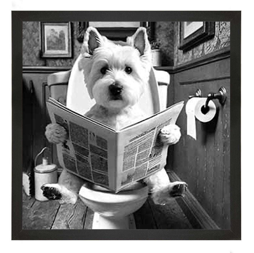 AN2122-B&W WESTIES ON THE TOILET