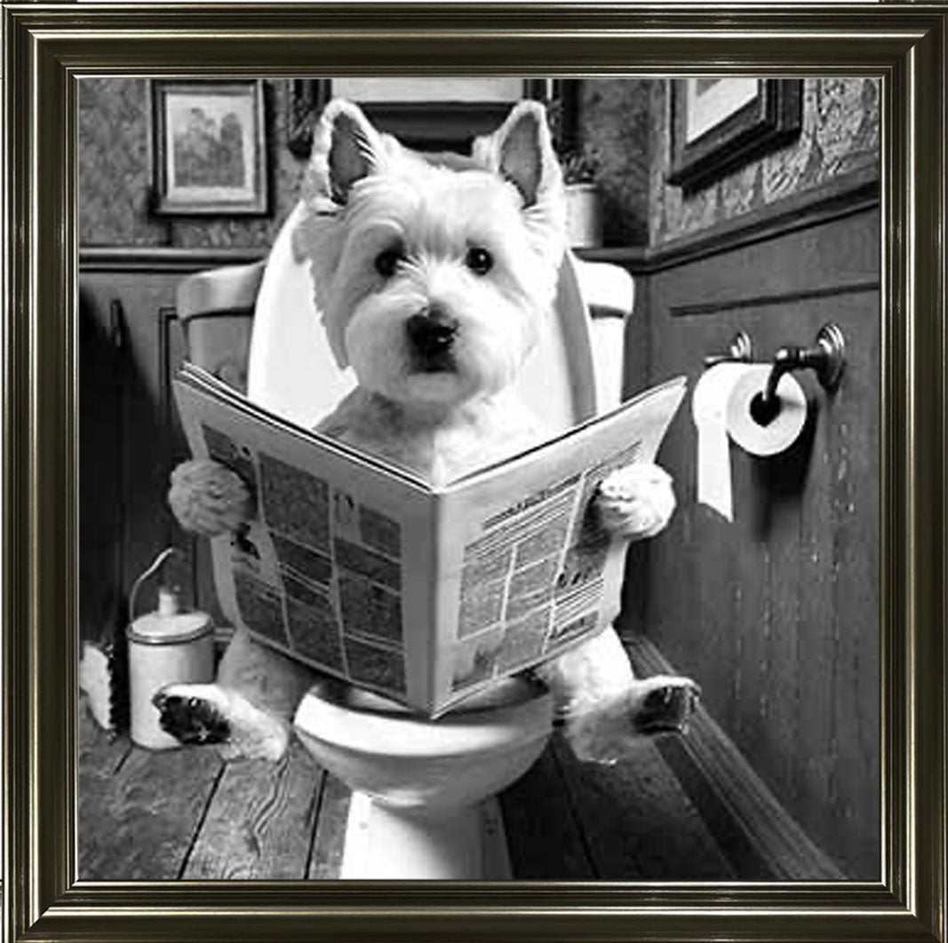 AN2122-B&W WESTIES ON THE TOILET