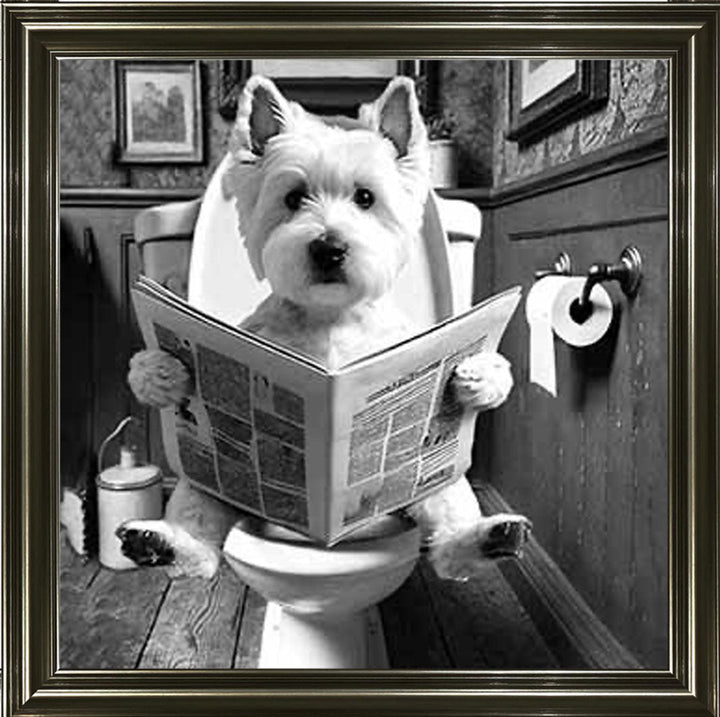 AN2122-B&W WESTIES ON THE TOILET