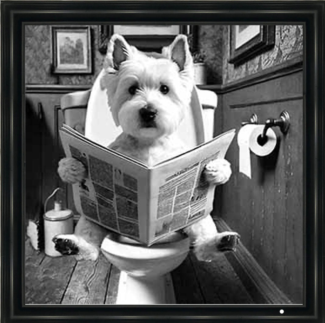 AN2122-B&W WESTIES ON THE TOILET
