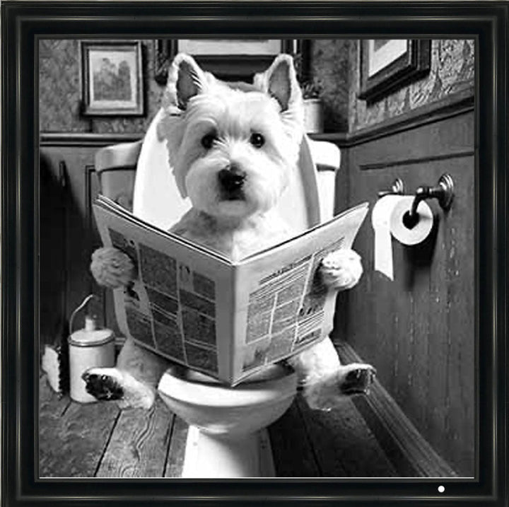 AN2122-B&W WESTIES ON THE TOILET
