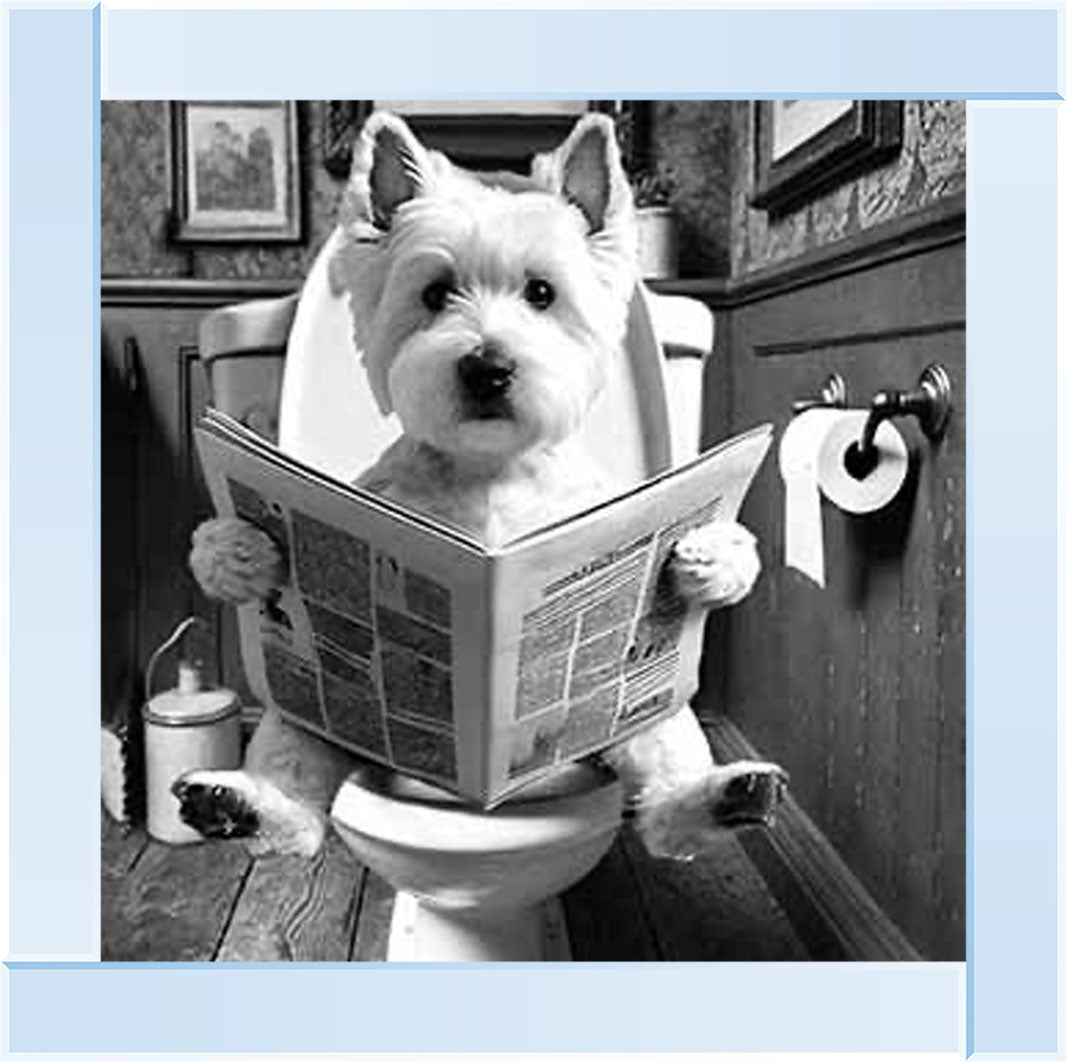 AN2122-B&W WESTIES ON THE TOILET