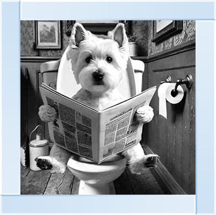 AN2122-B&W WESTIES ON THE TOILET