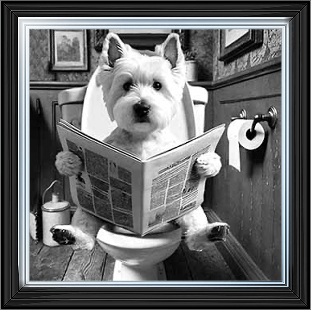 AN2122-B&W WESTIES ON THE TOILET