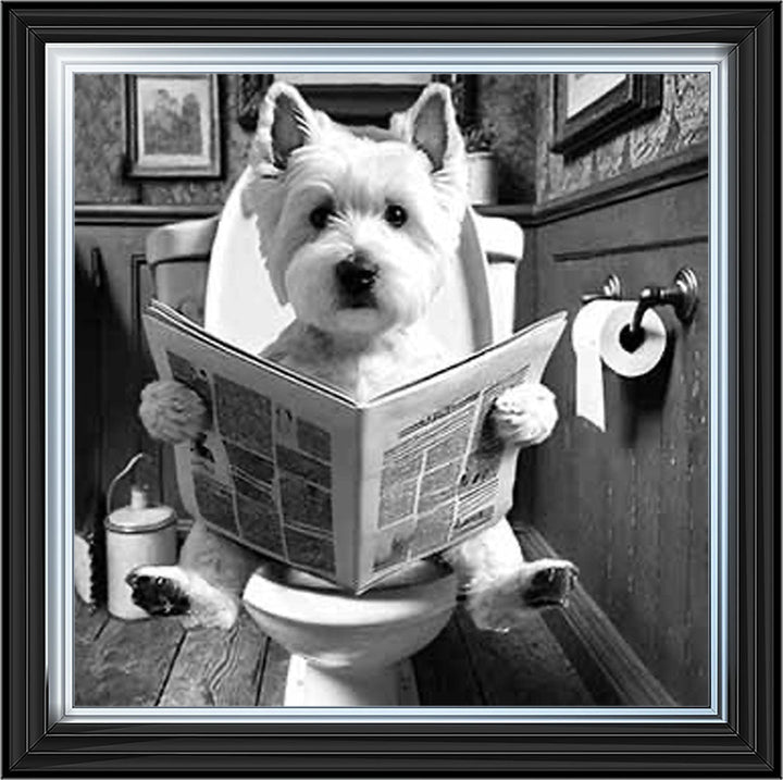 AN2122-B&W WESTIES ON THE TOILET
