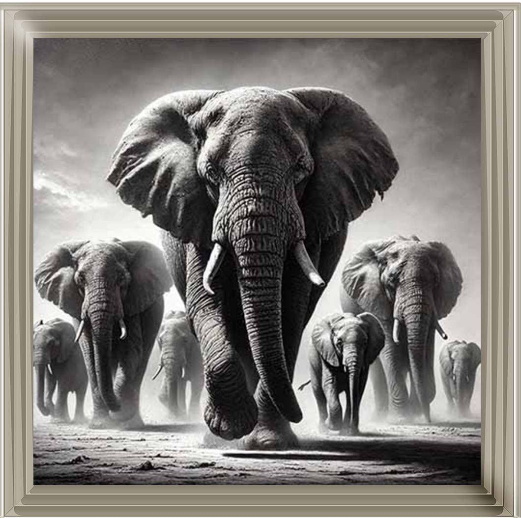 AN2131 Jabulani Elephant Herd
