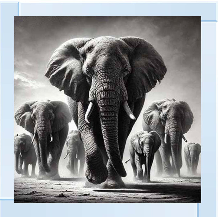 AN2131 Jabulani Elephant Herd