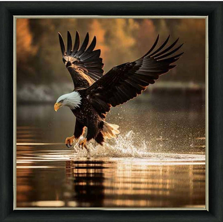 AN2133 Eagle Hunting