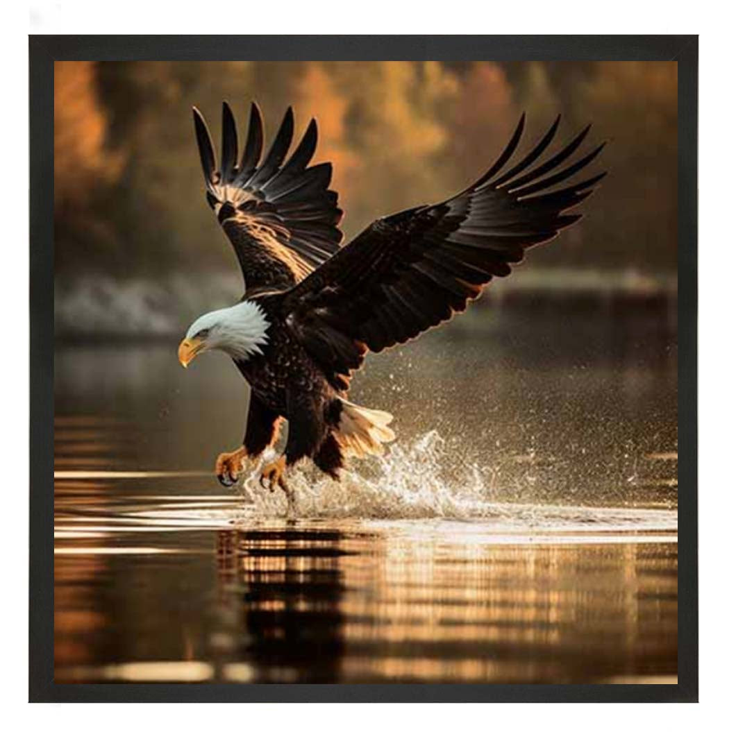 AN2133 Eagle Hunting