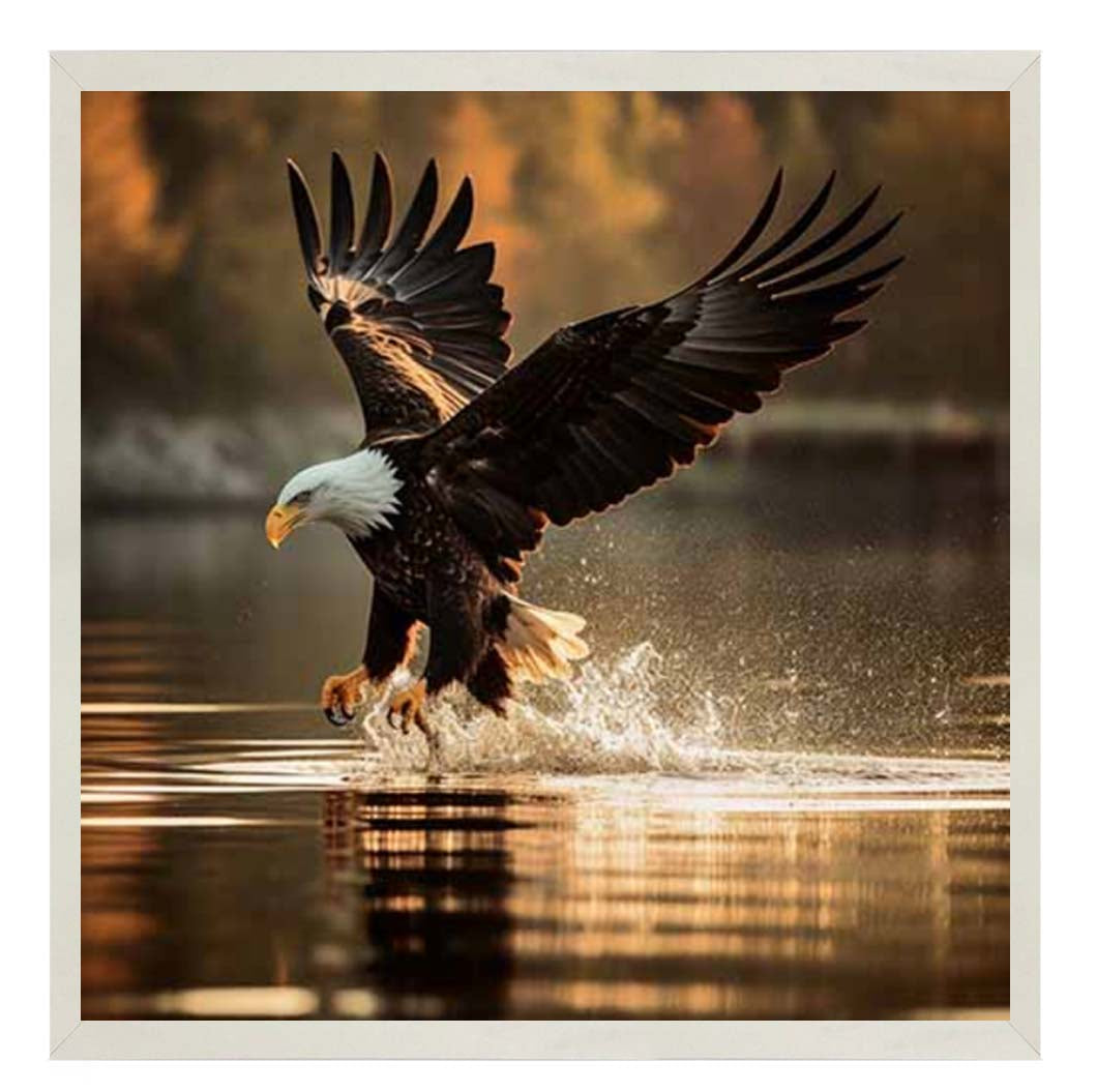 AN2133 Eagle Hunting