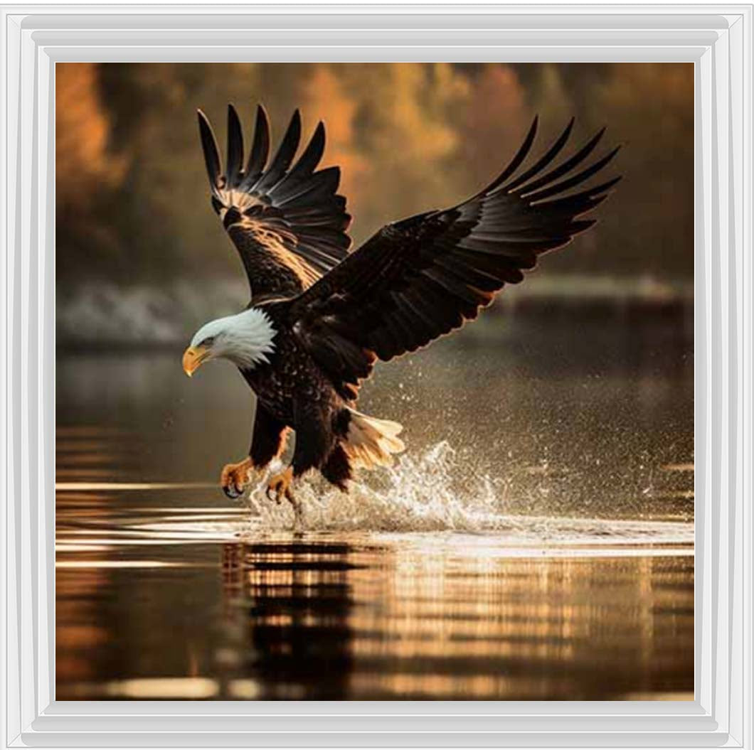 AN2133 Eagle Hunting