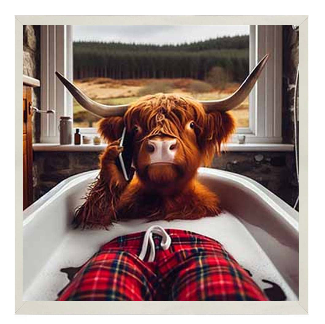 AN2137 Highland Cow On Phone Taking Bath ||